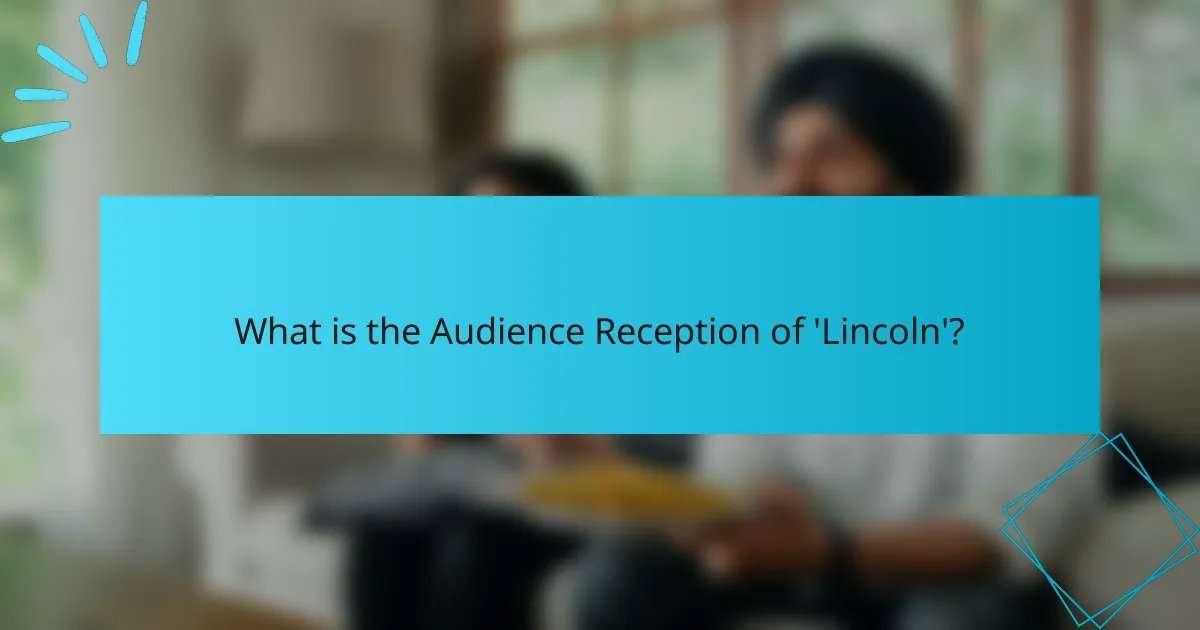 What is the Audience Reception of 'Lincoln'?